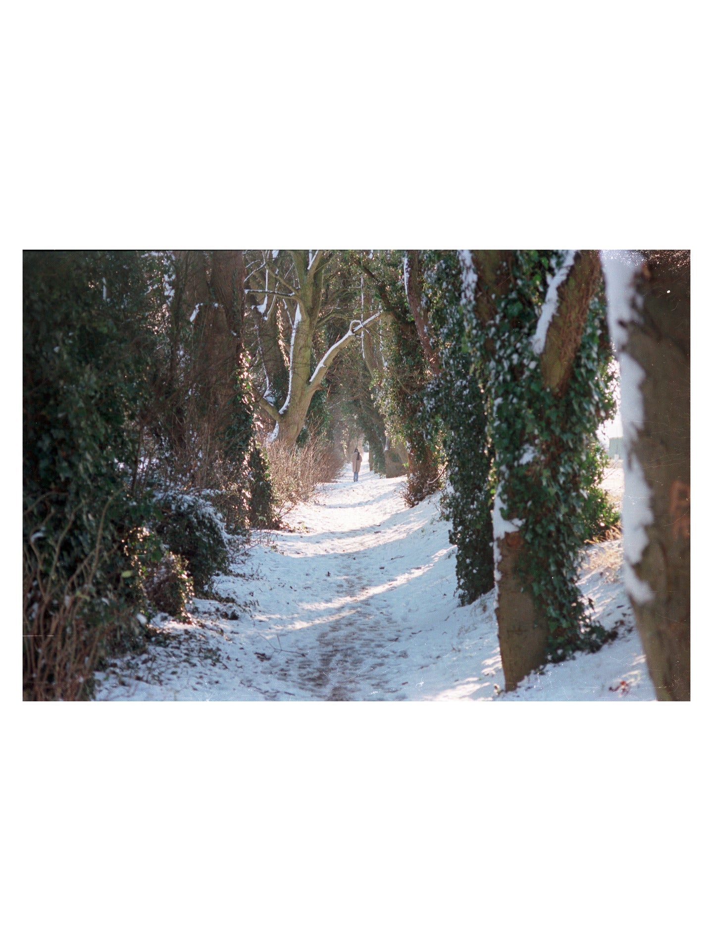 Snow on The Grand Canal, Naas Branch