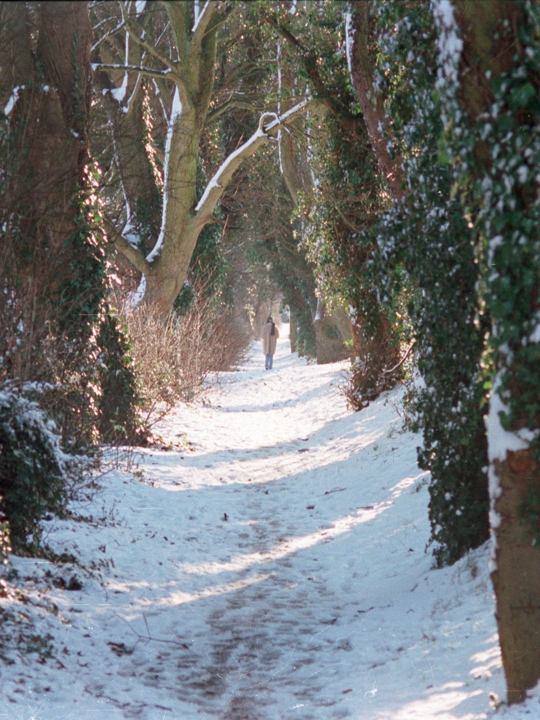 Snow on The Grand Canal, Naas Branch